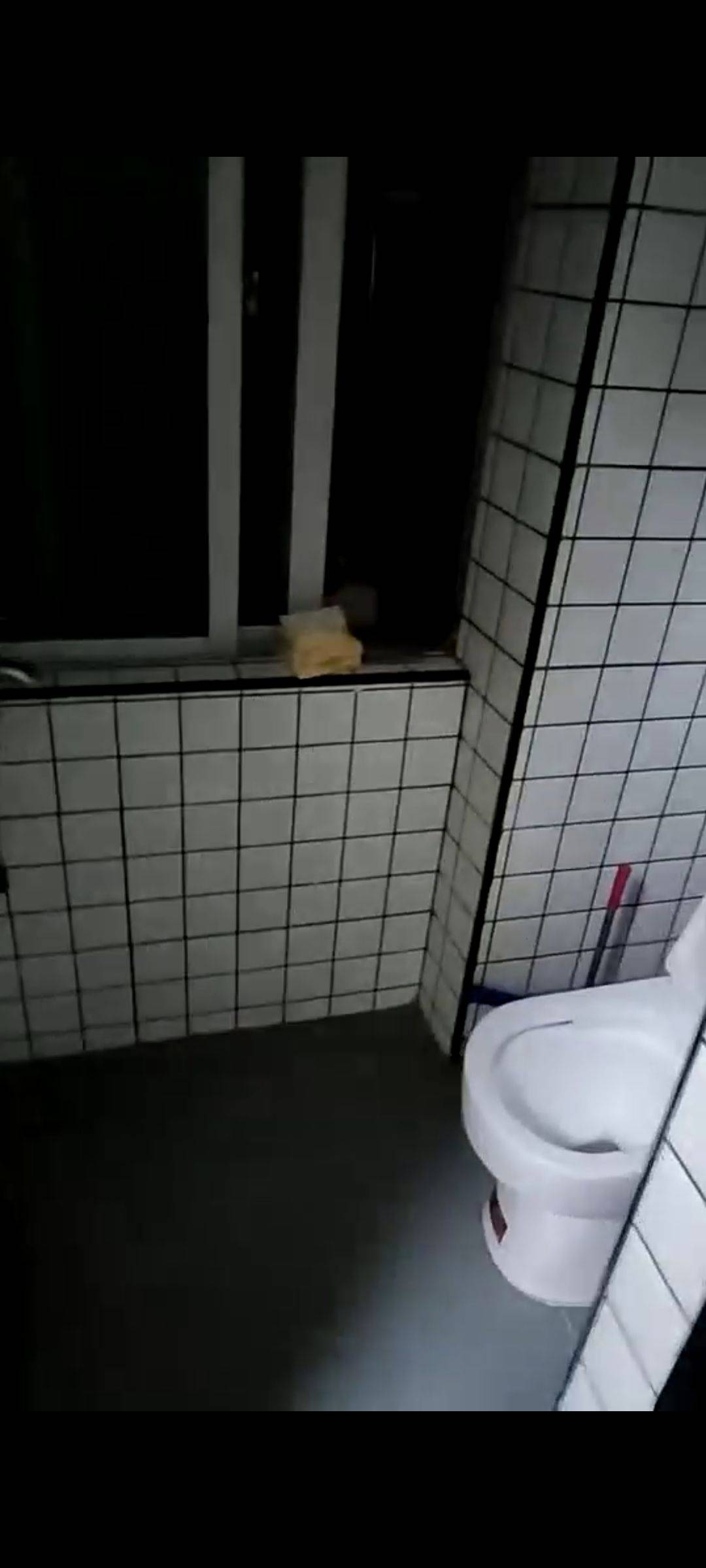 深圳 宝安 | 31区水口花园_4