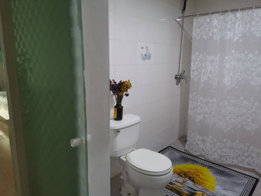 Tree 树整租房源3