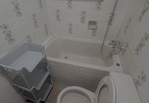 香港岛 沙田第一城