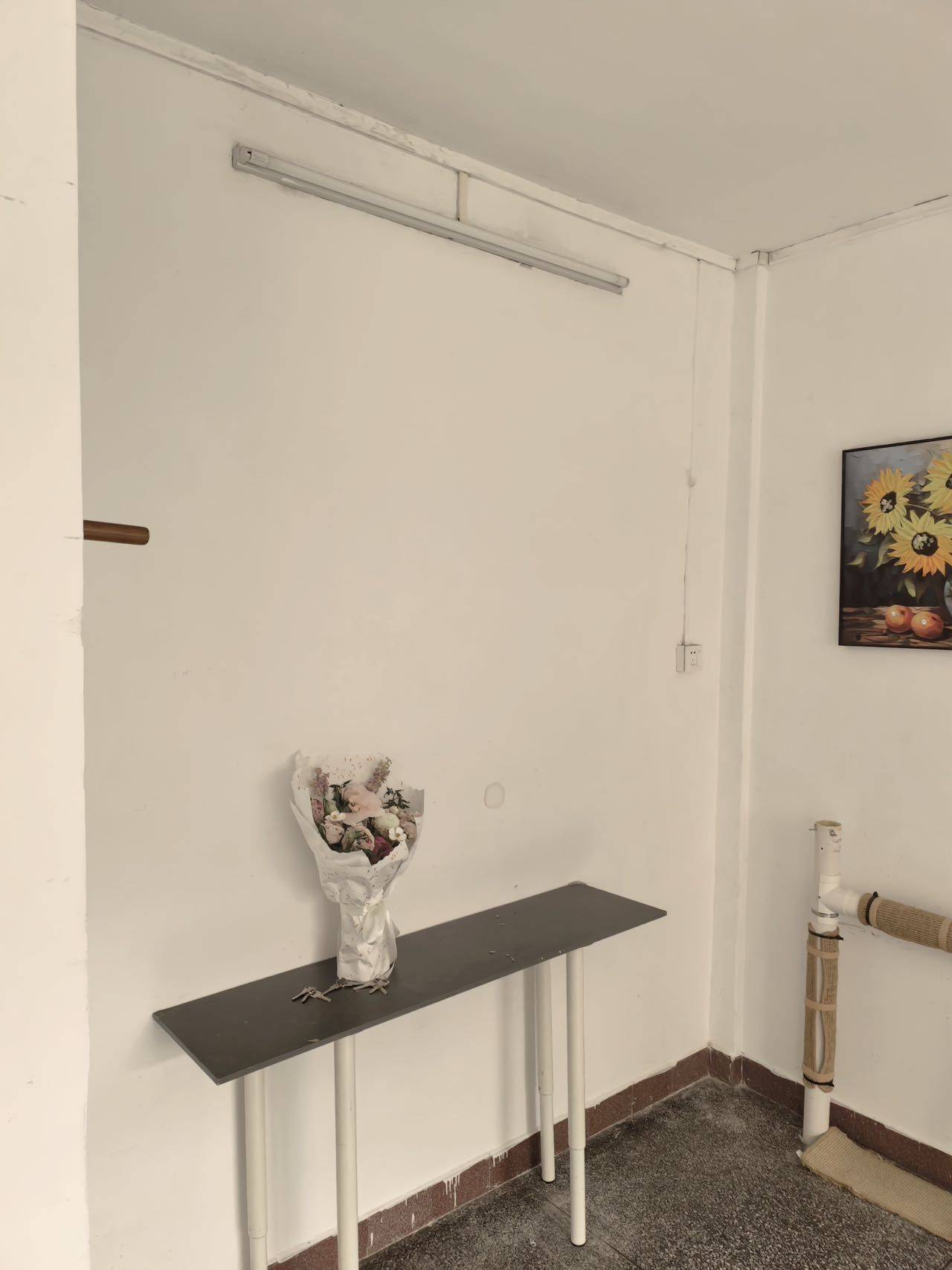 肖先生整租房源2