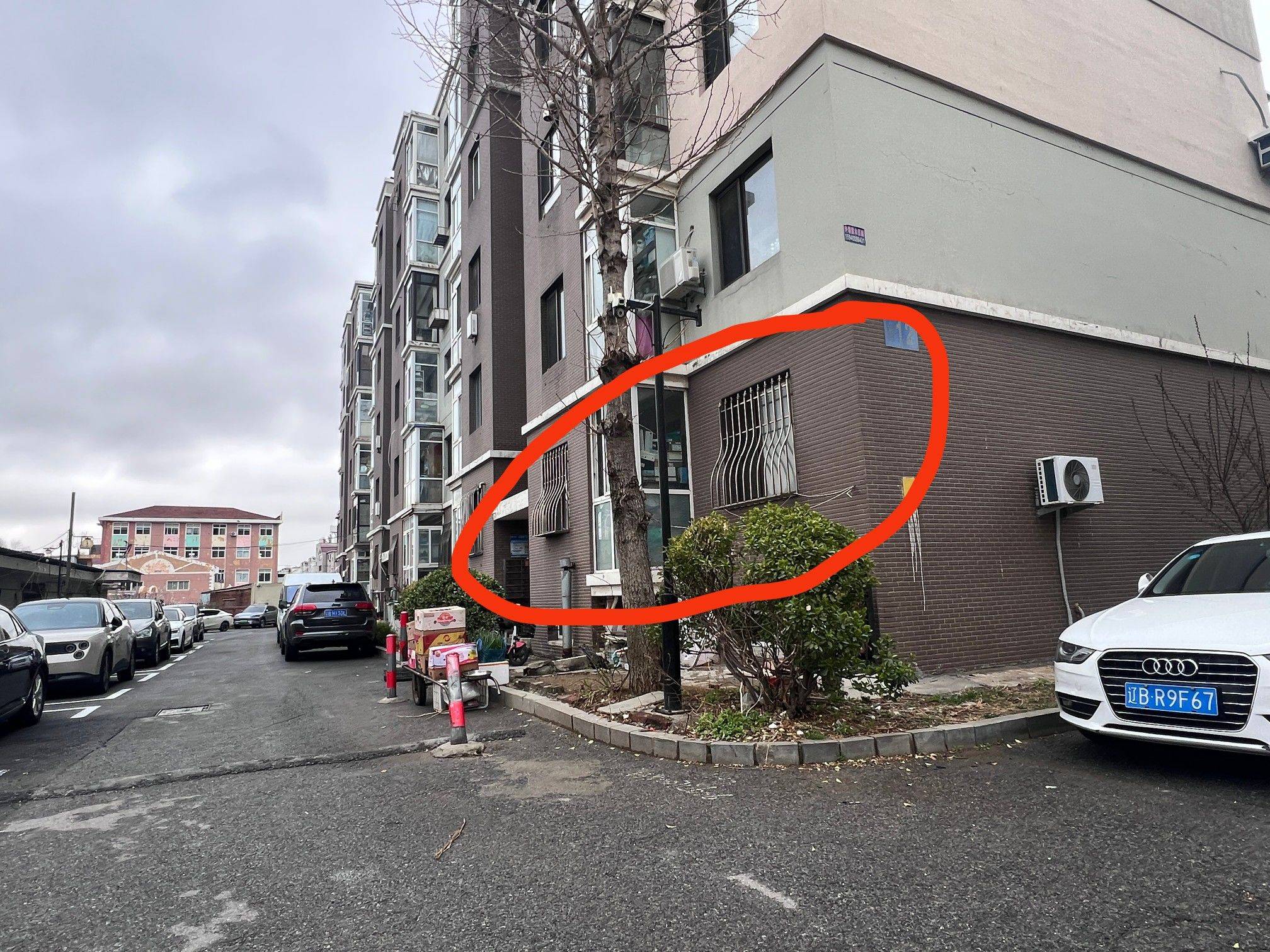 沙河口 水芙山竹-578C栋