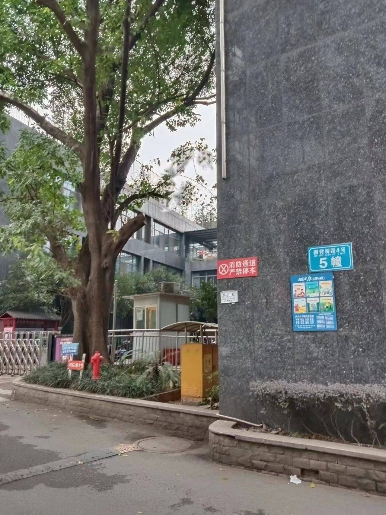 重庆 九龙坡 | 枫丹树语城-5号楼_4