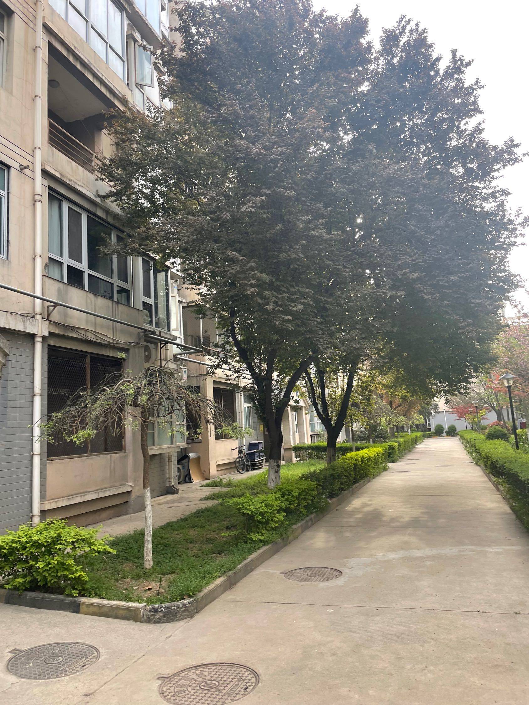 新城 华清学府城