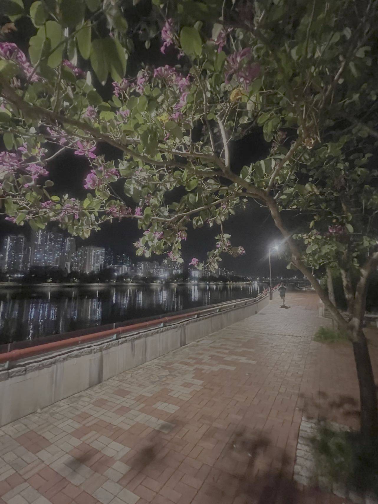 香港 香港岛  | 沙田第一城_5