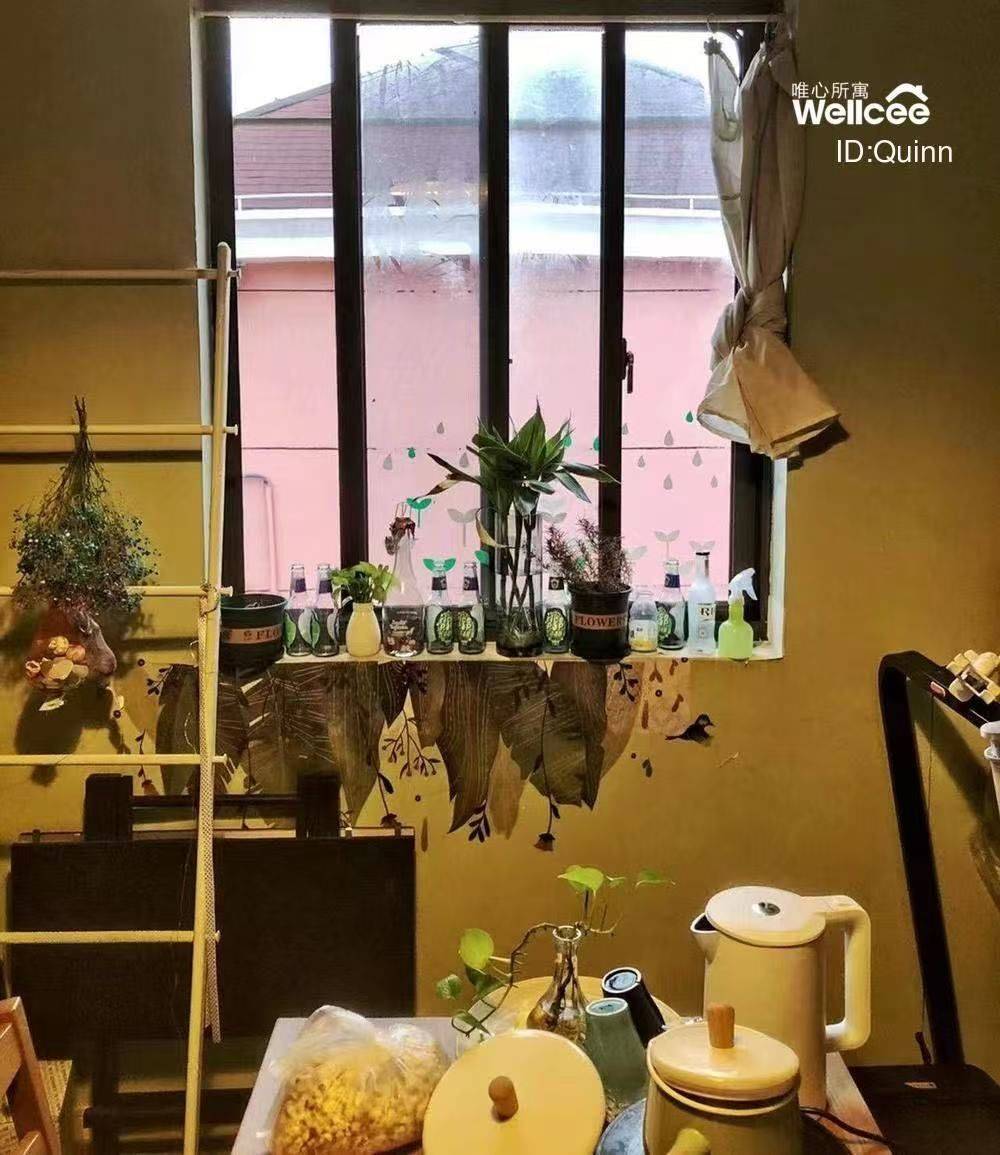 drownfish整租房源2