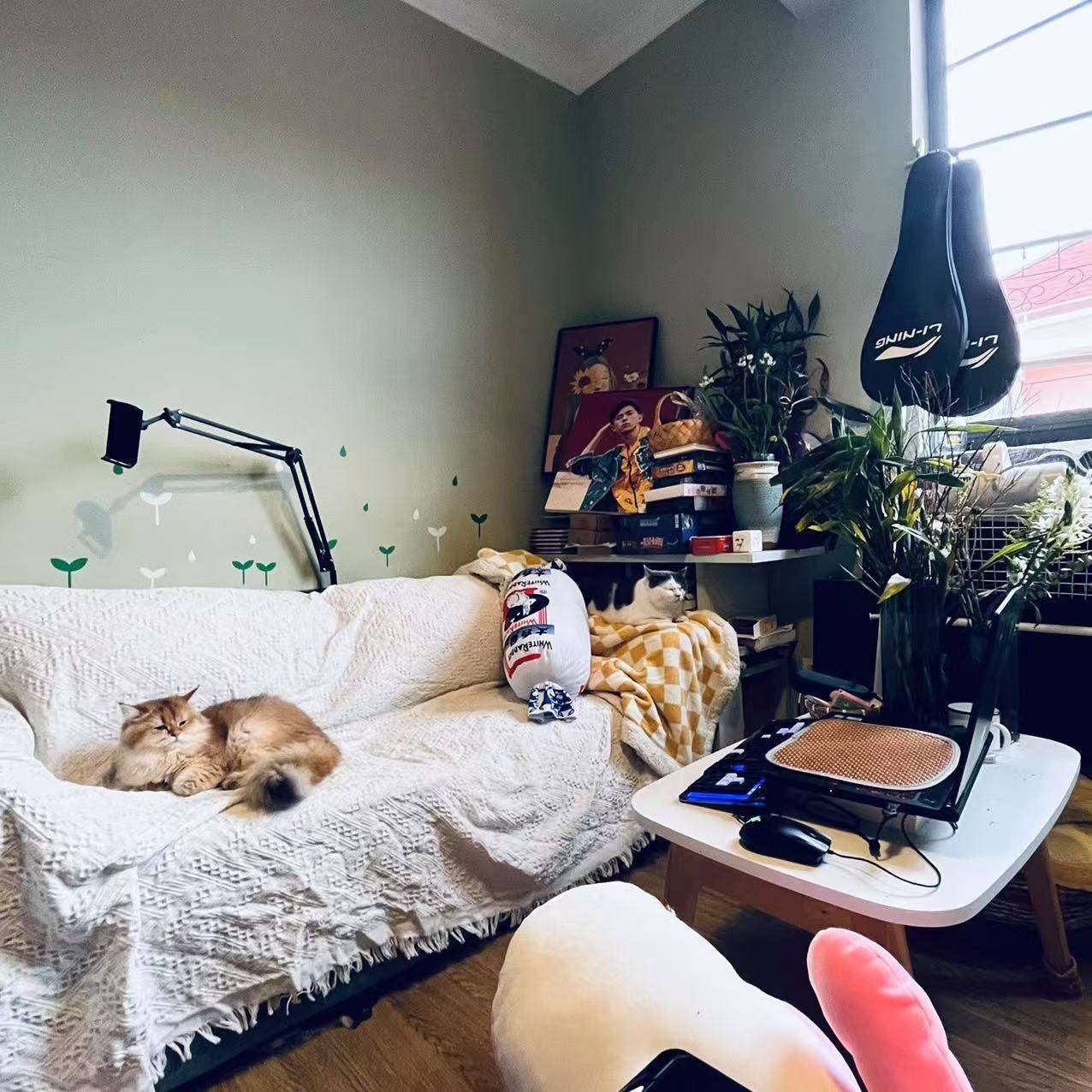 drownfish整租房源1