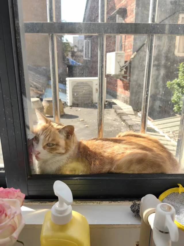 小姚学姐整租房源2