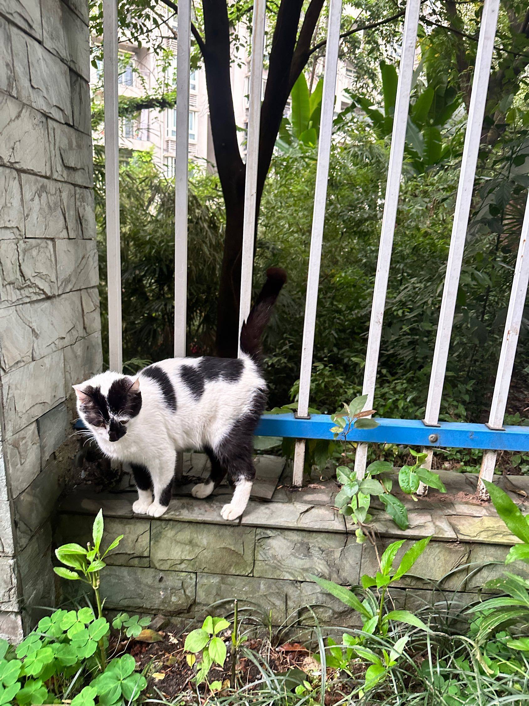 Chongqing Liangjiang New Area | 耐德佳苑-4号楼_7