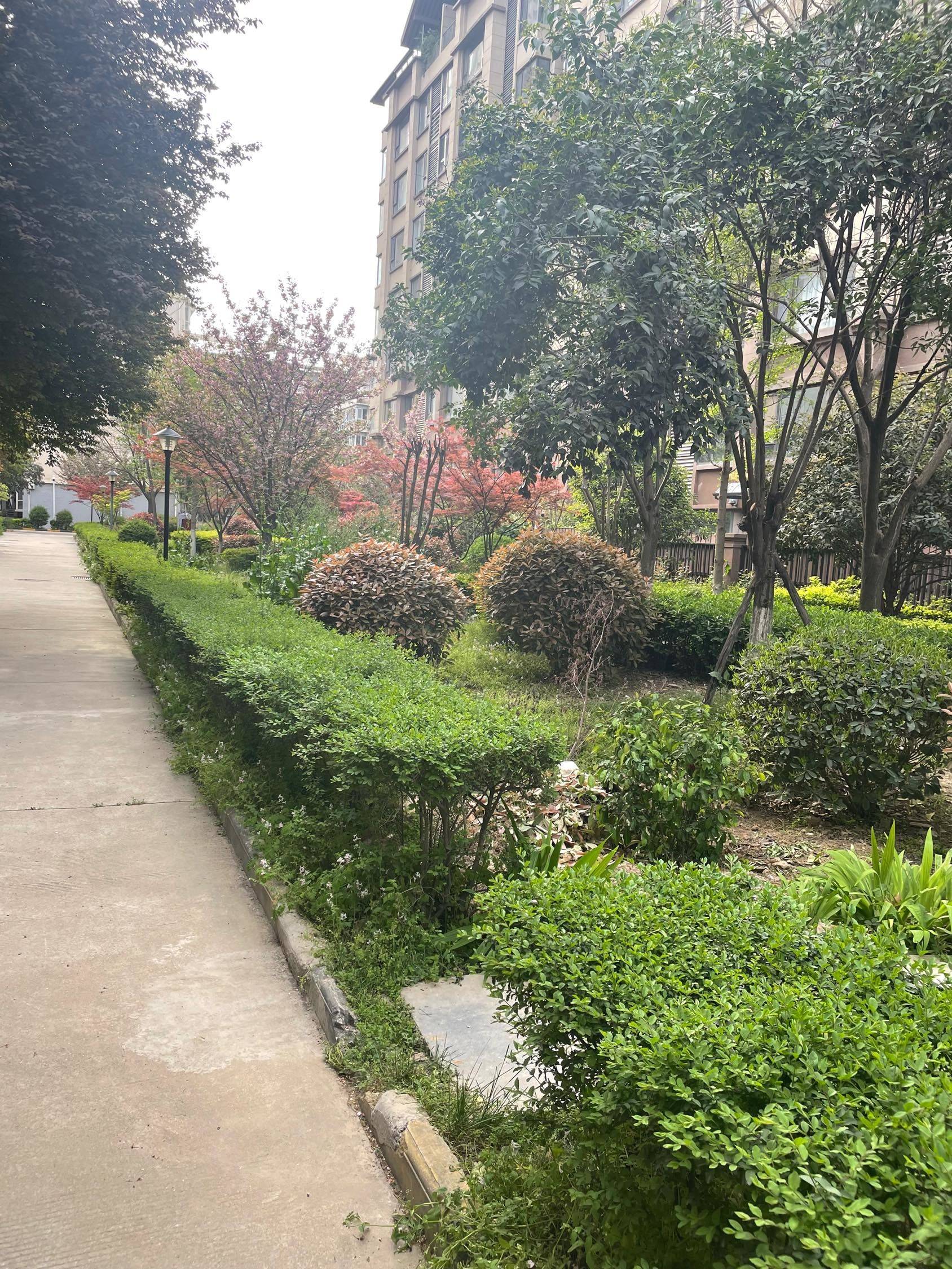 新城 华清学府城