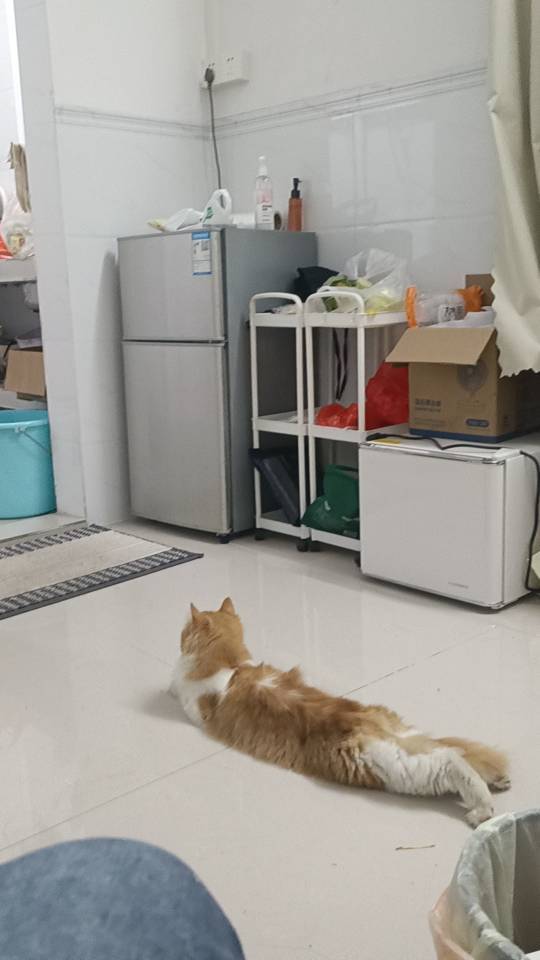 小姚学姐整租房源3