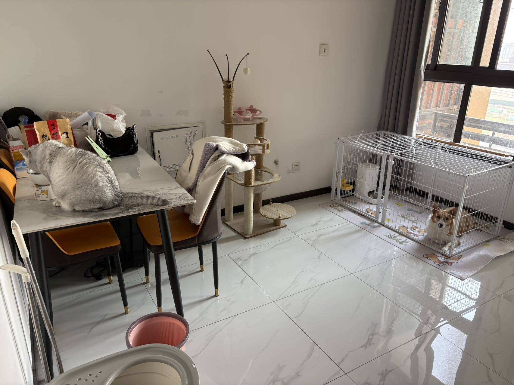 a桃子💓整租房源1