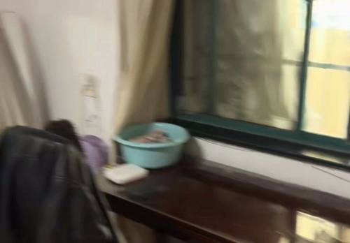 滨江 长江西苑-15栋