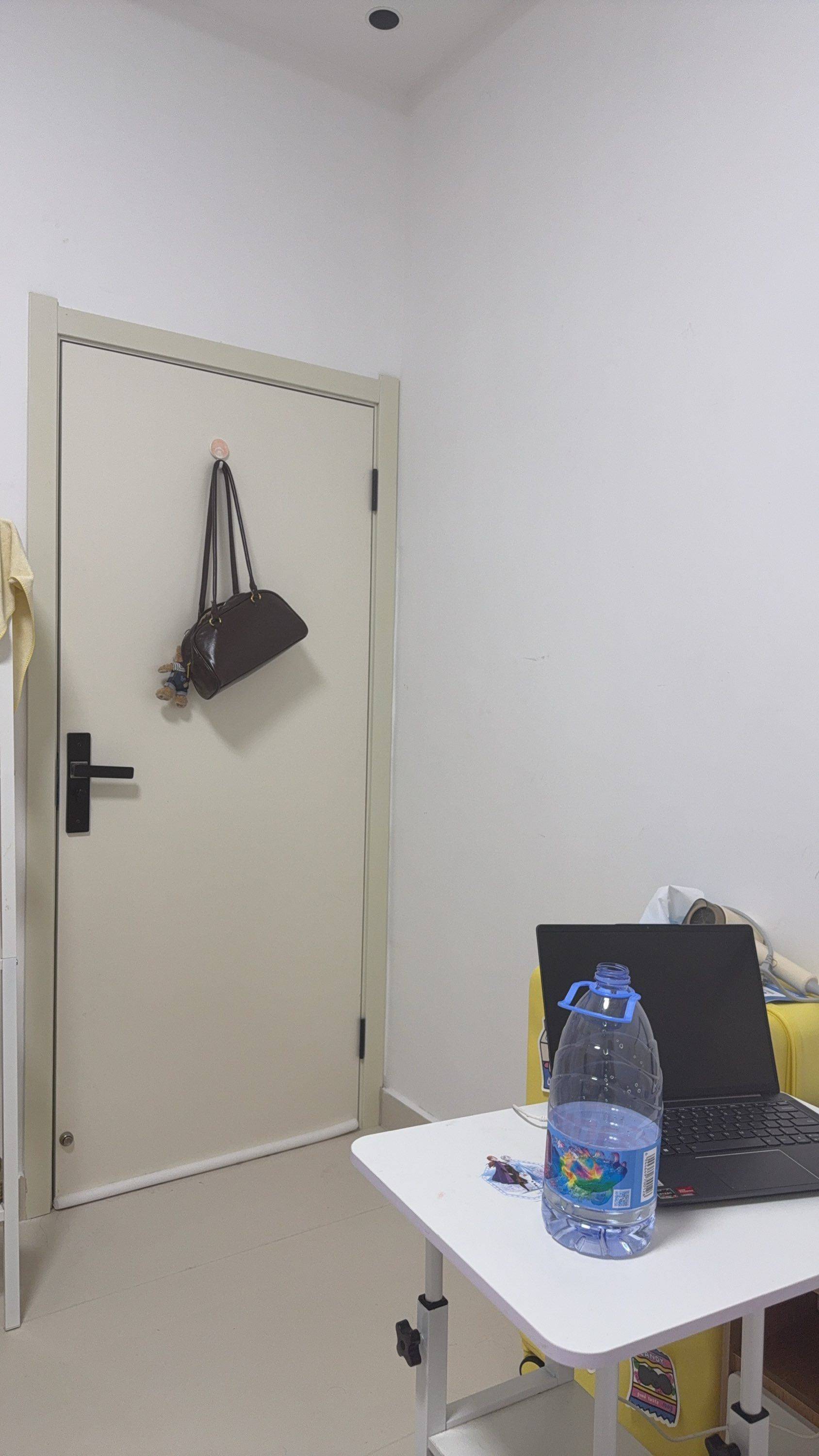 皮皮婉整租房源3