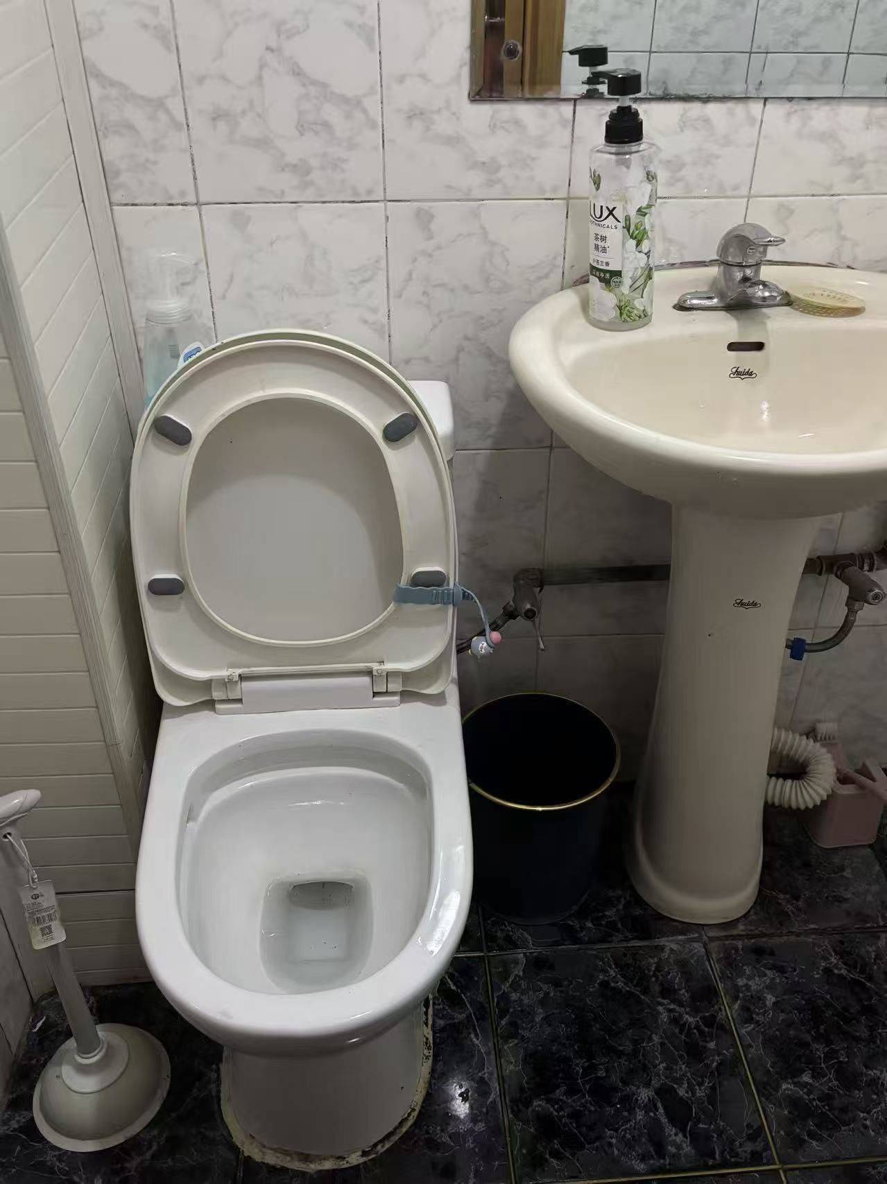 北京 朝陽 | 红庙北里_3