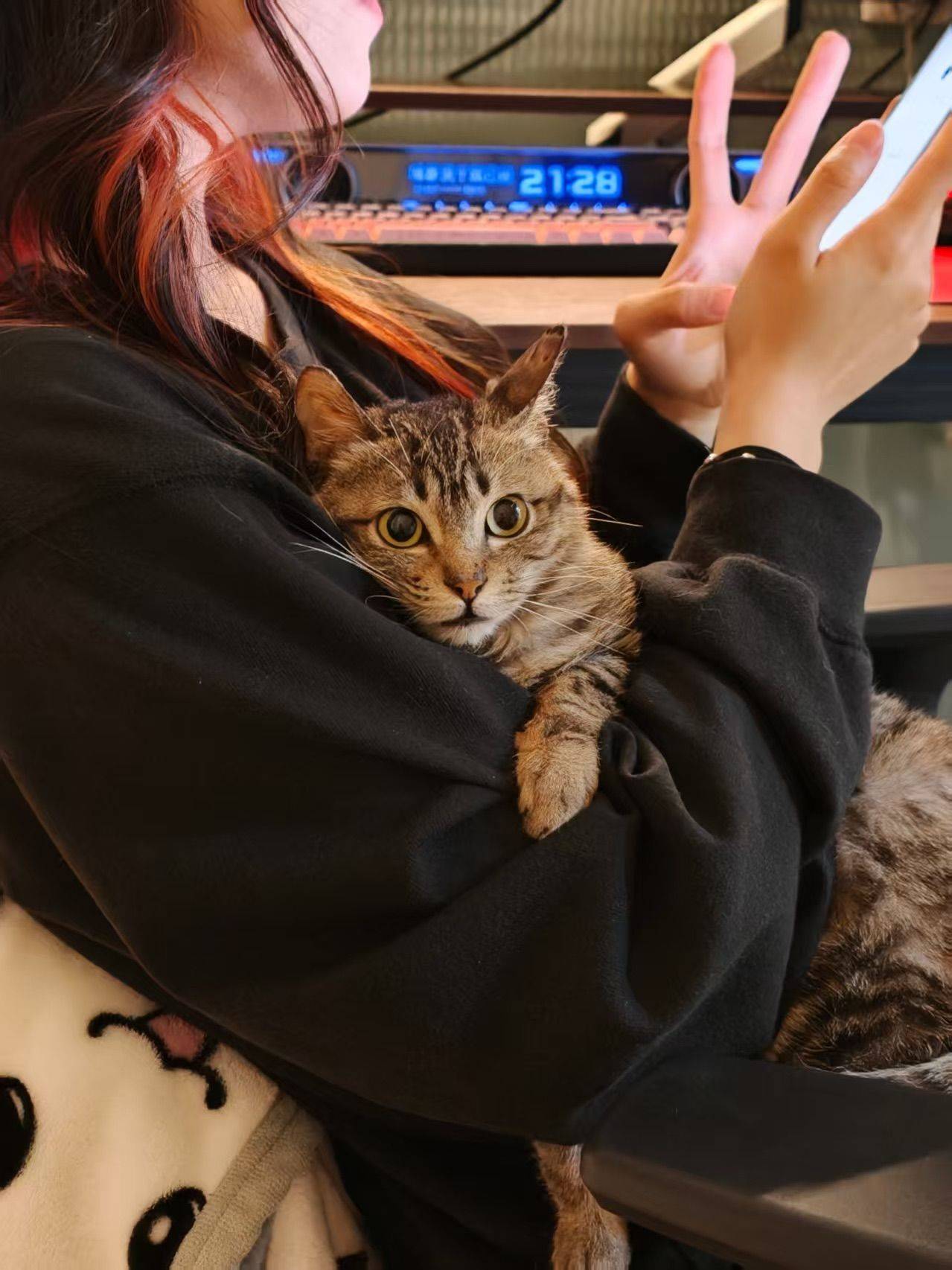 Shanghai Qingpu | 二联家园-西区_7