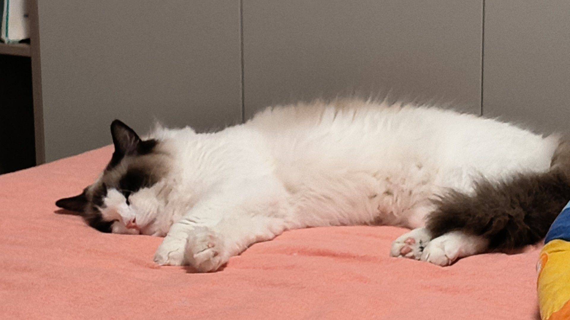 六合 保利观棠和府