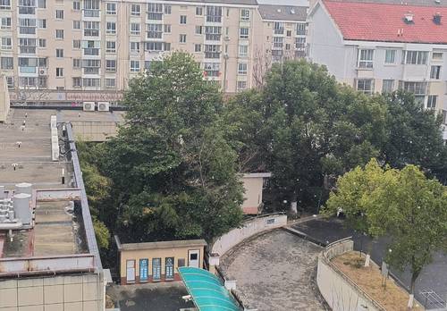 閔行 景舒苑六村-12号楼