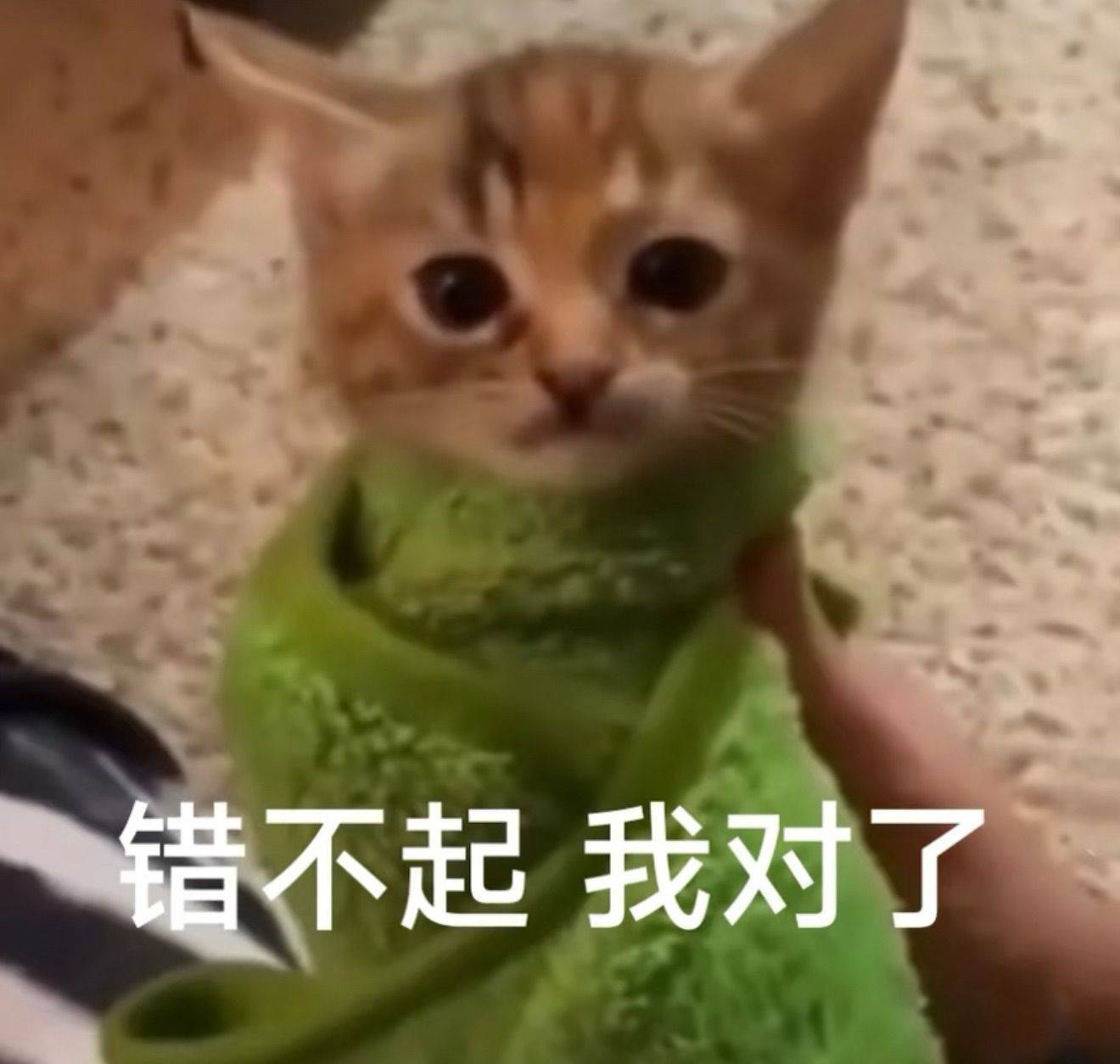 Shanghai Qingpu | 二联家园-西区_5