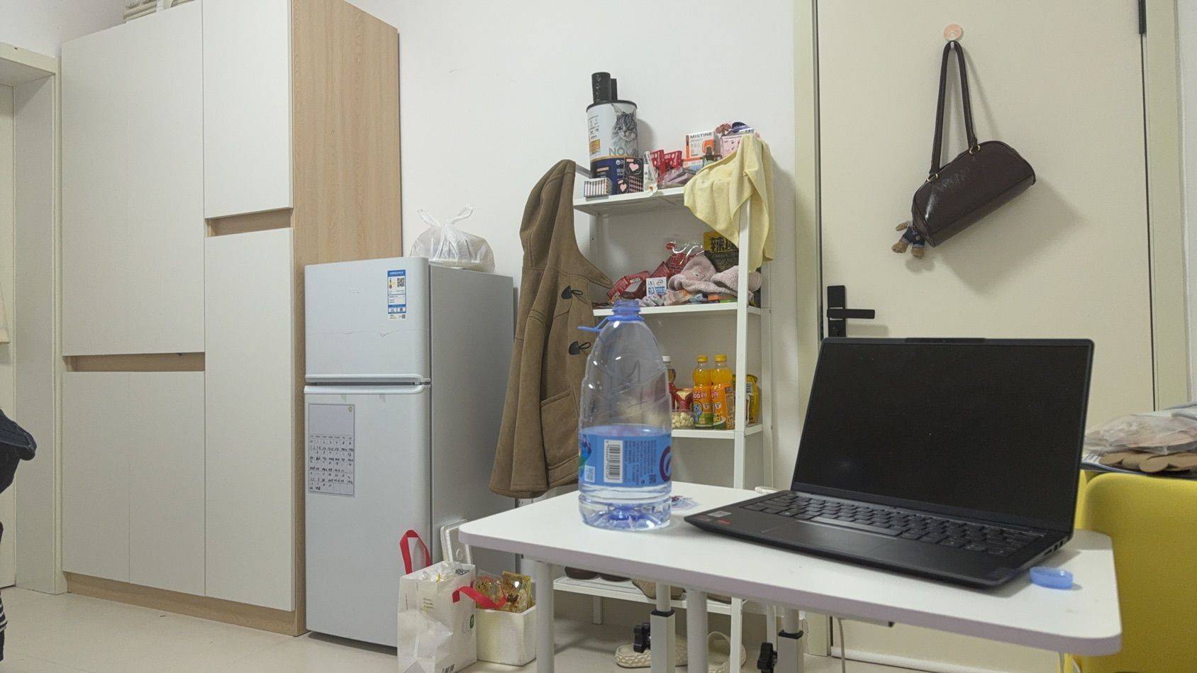 皮皮婉整租房源1