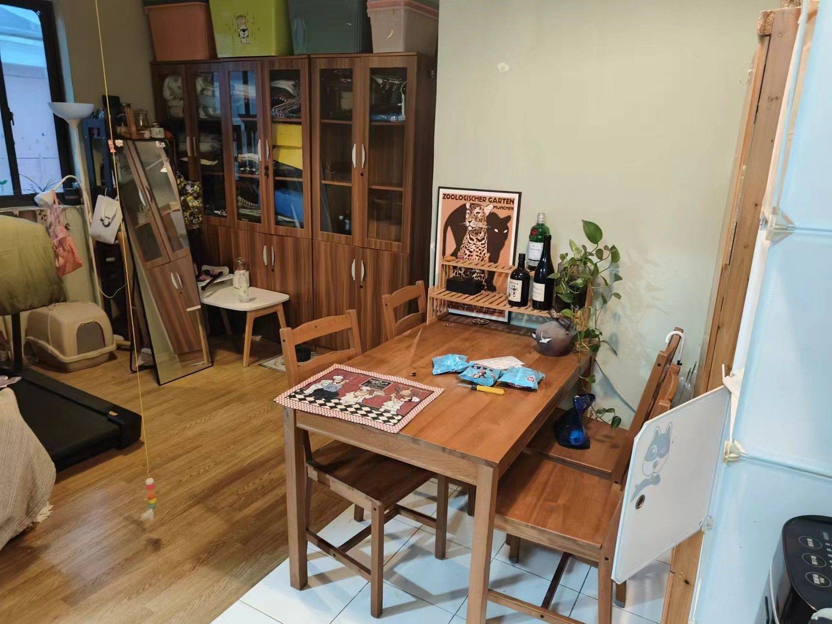 drownfish整租房源3