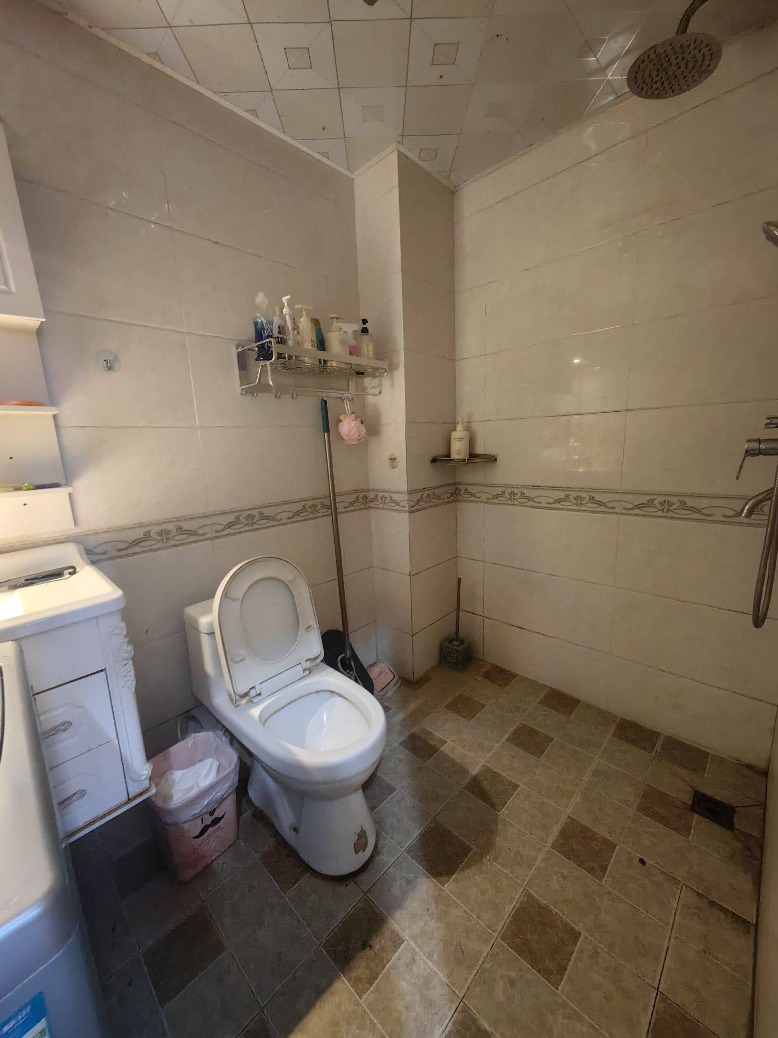 成都 成华 | 世茂·玉锦湾_6