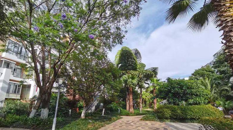 昆明 五华 | 水逸康桥-8栋_6