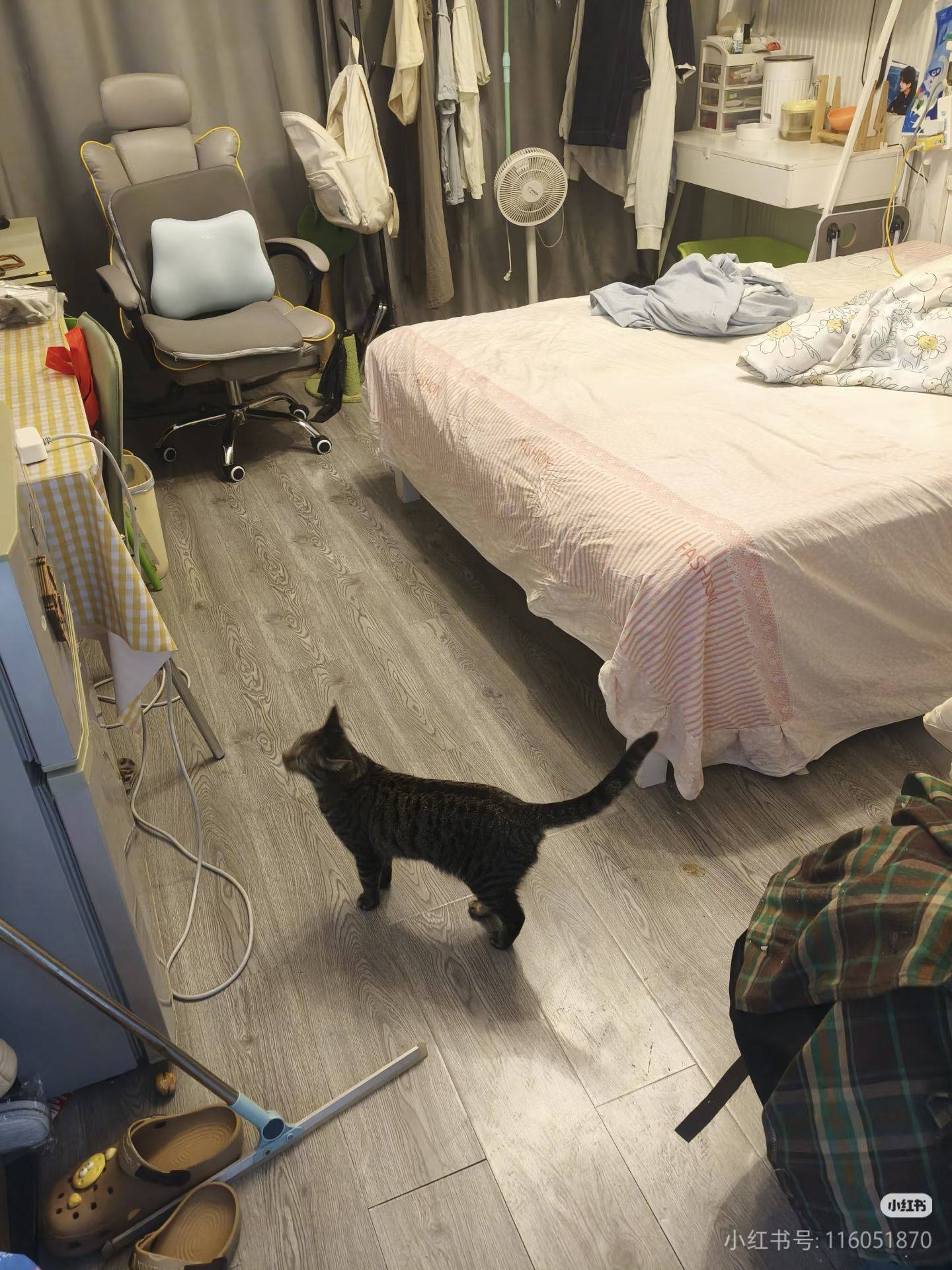 上海 宝山 | 罗青湾新苑_4