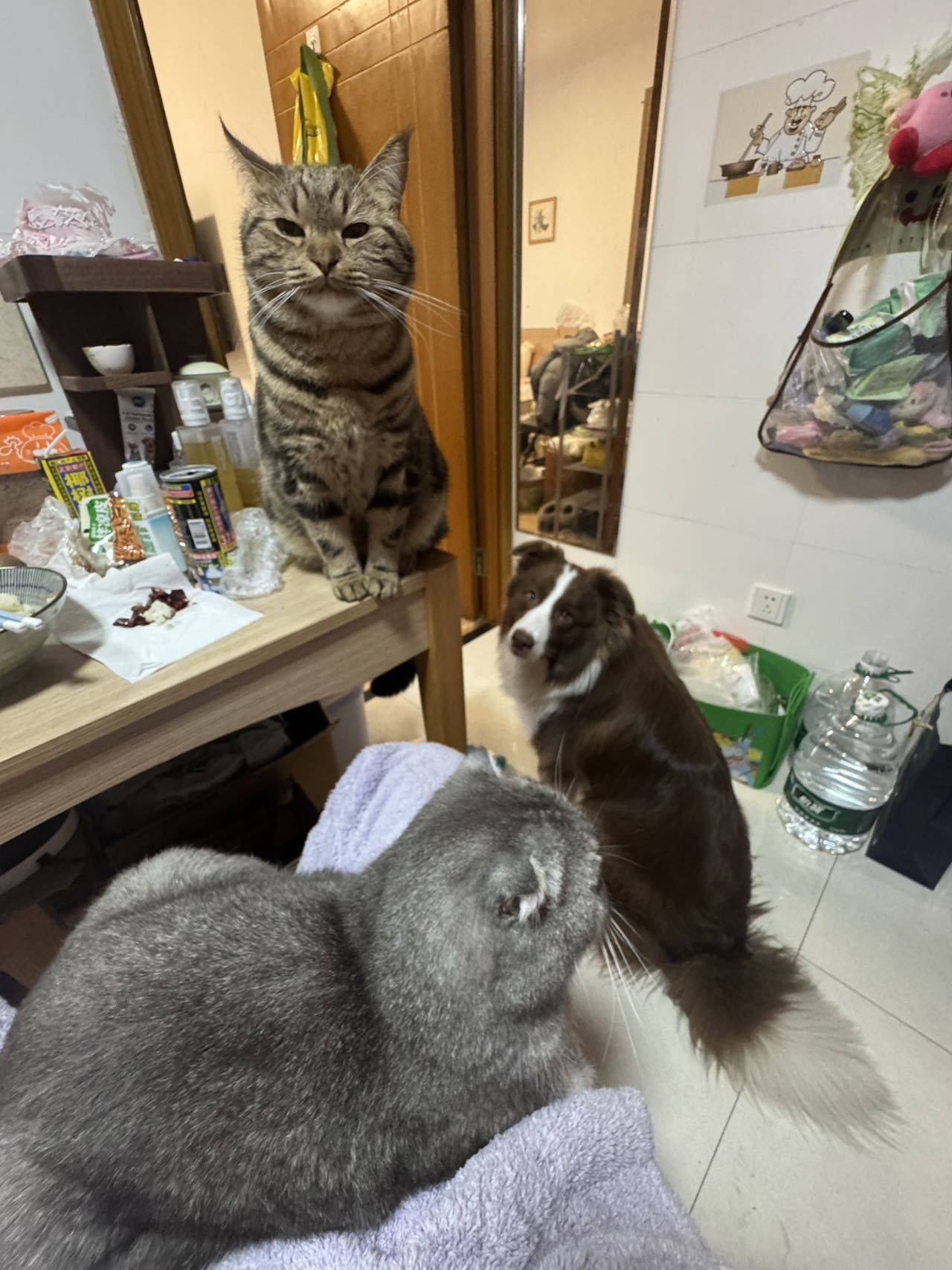 虹口 水电小区-1200弄16号楼