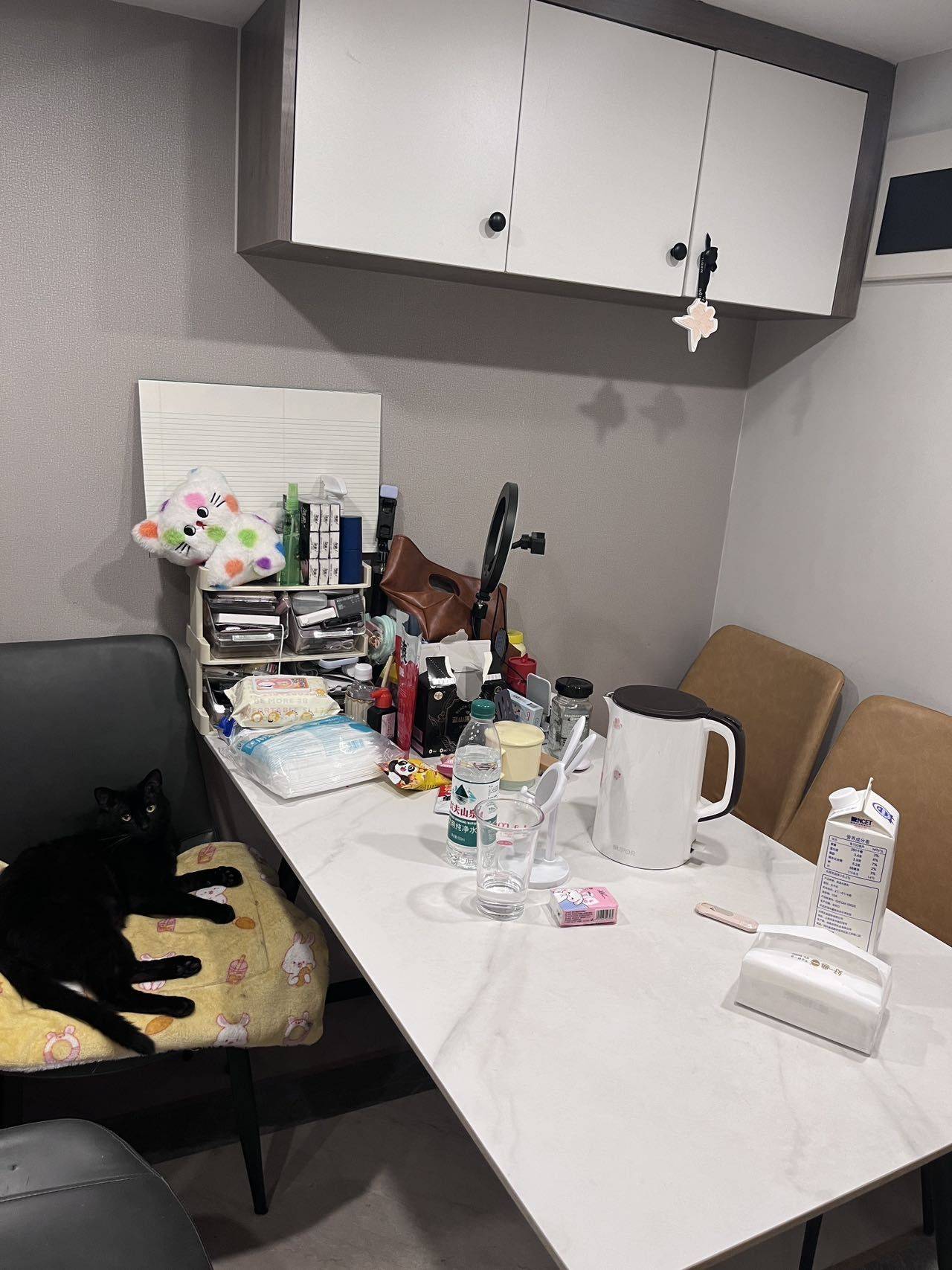 成都 成华 | 源滩·麒麟荟_4