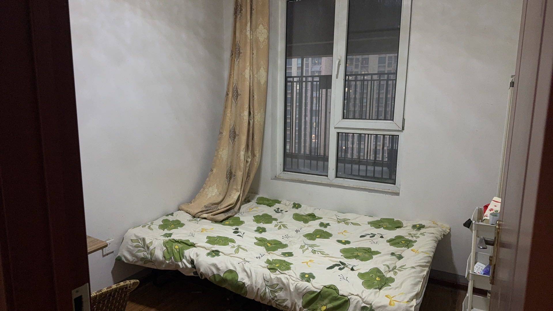 你的目光所及之处整租房源1