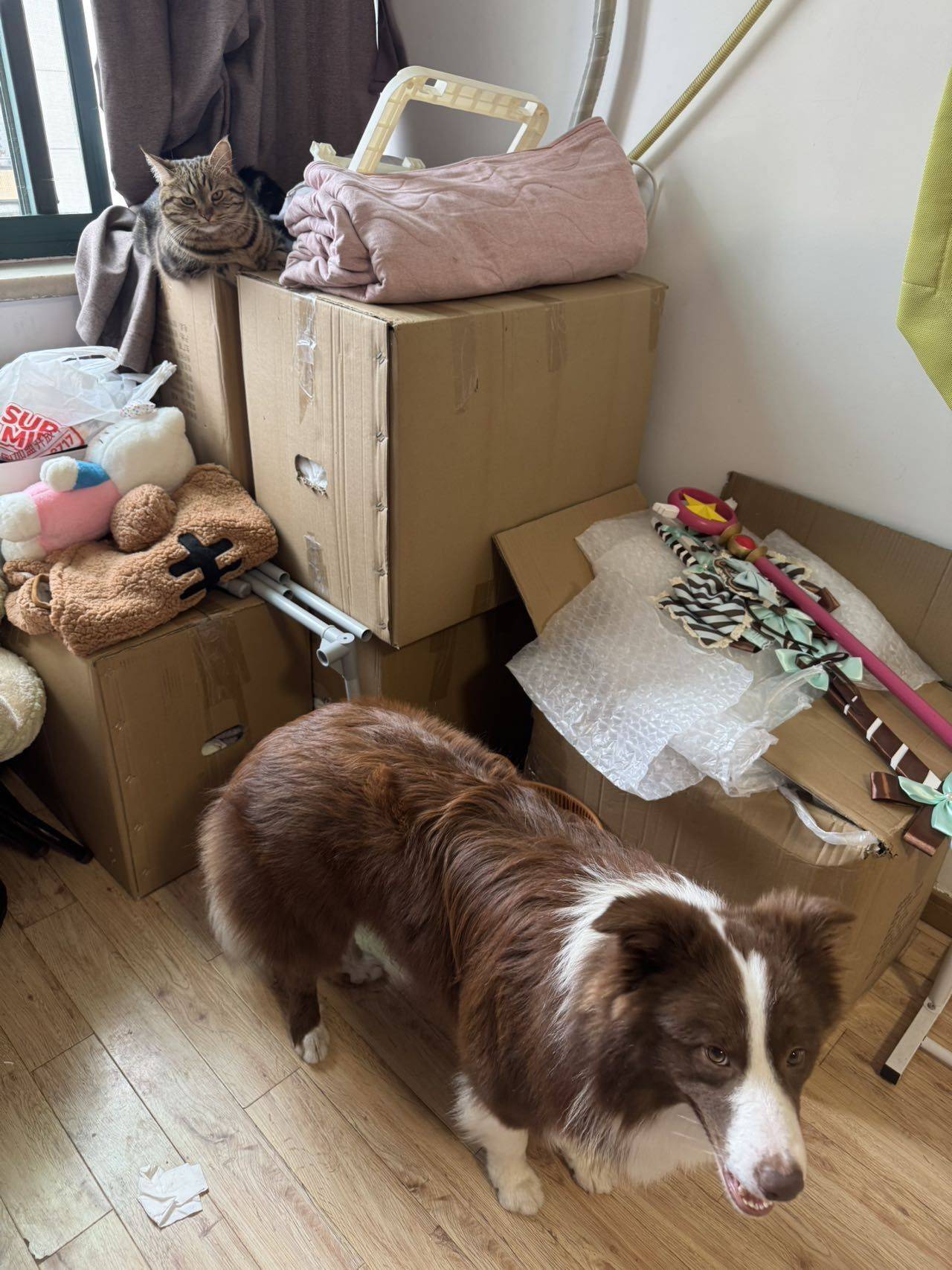 虹口 水电小区-1200弄16号楼