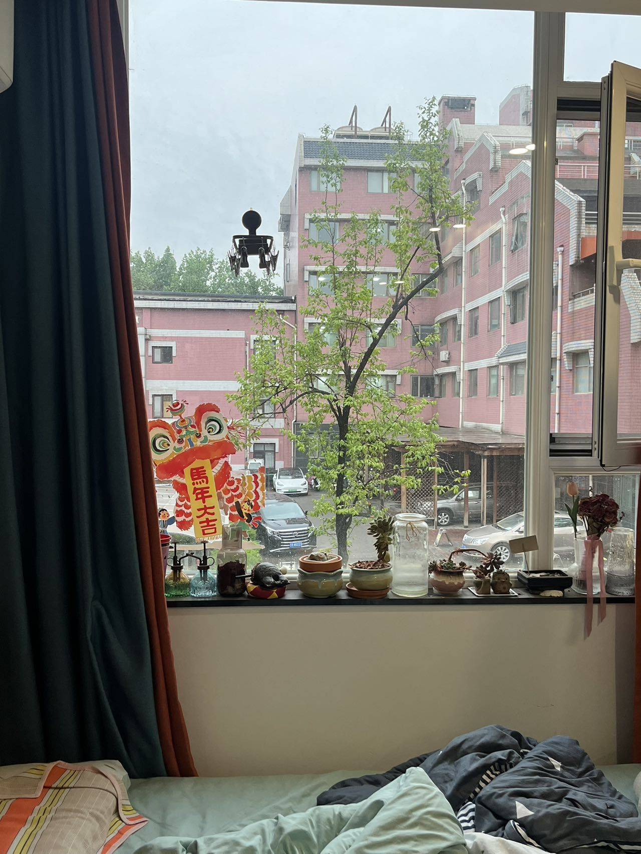 草莓菠萝整租房源1