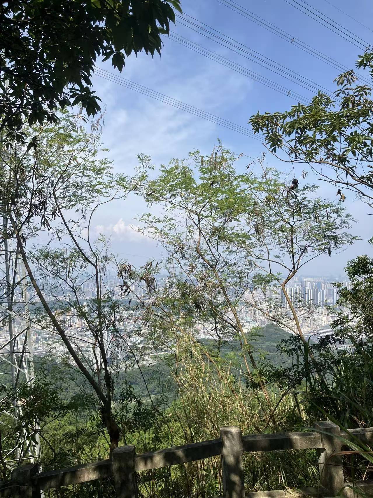 Shenzhen Longhua | 羊台山庄五区-7栋_5