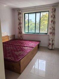 注定要暴富的小马同志整租房源1