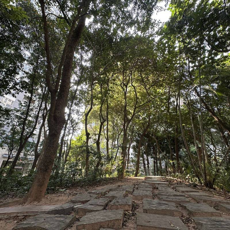 Shenzhen BaoAn | 深业新岸线-18号楼_6