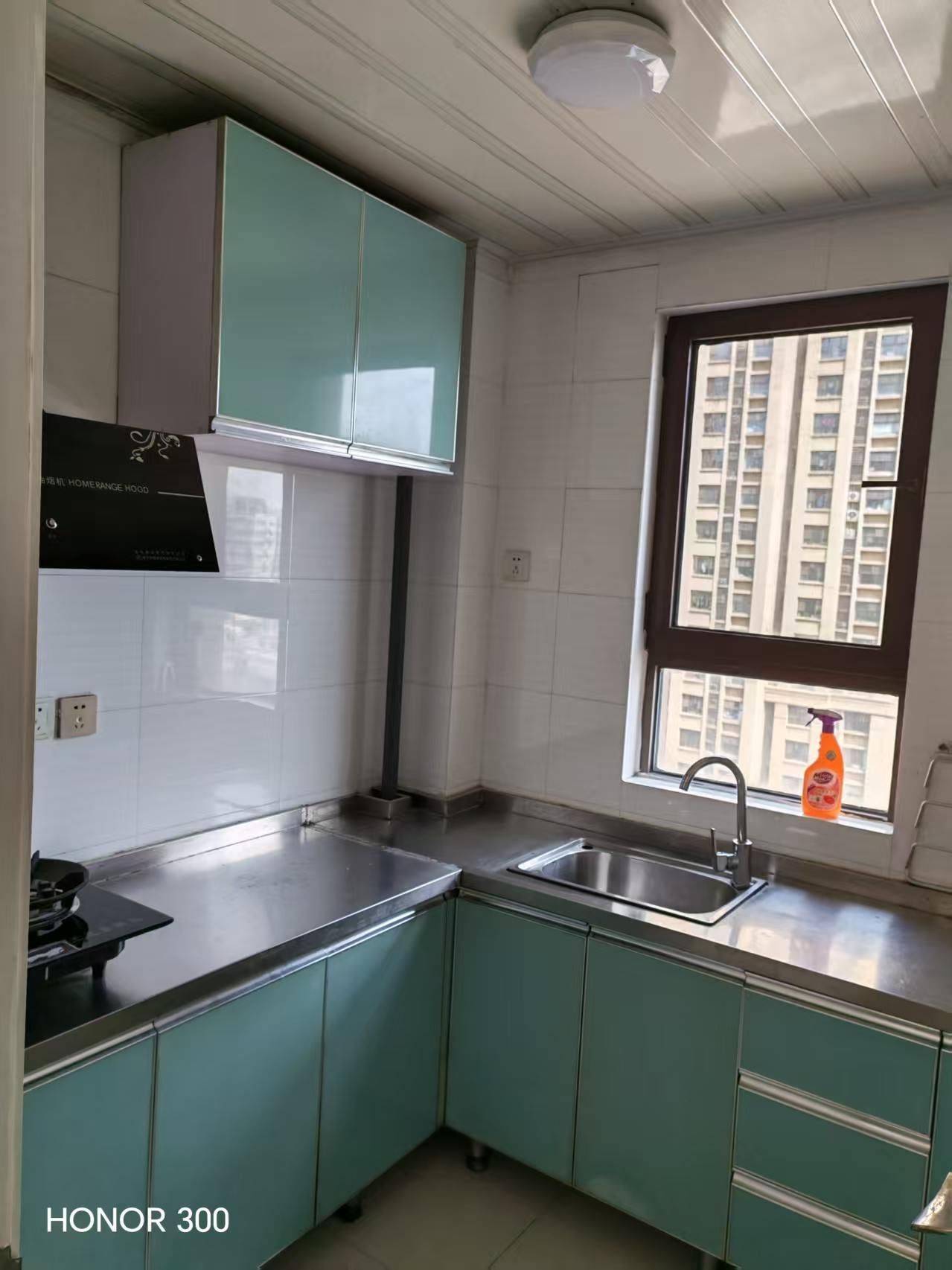 青岛 李沧 | 中海国际社区朗园_3