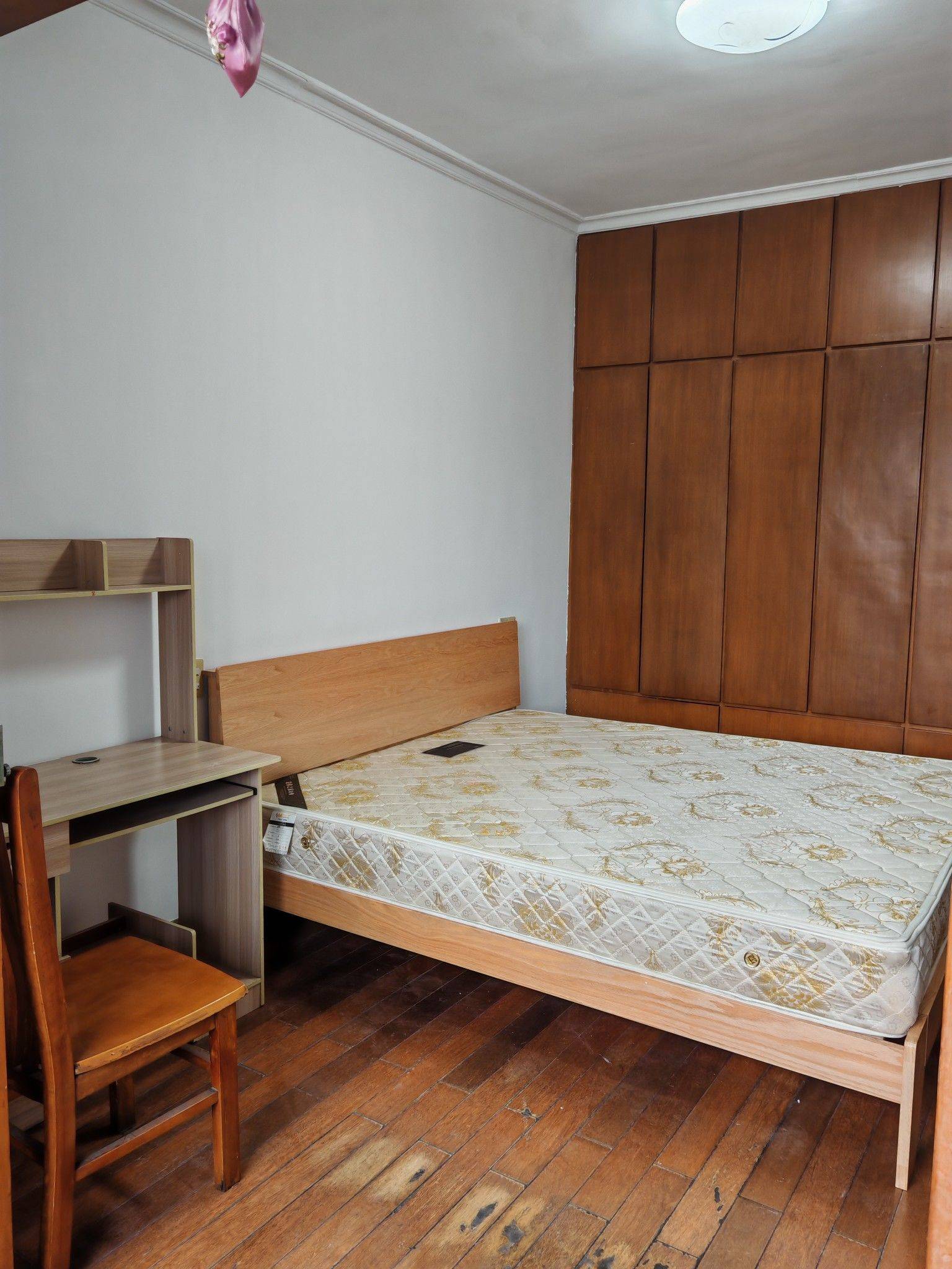 两岁半整租房源1