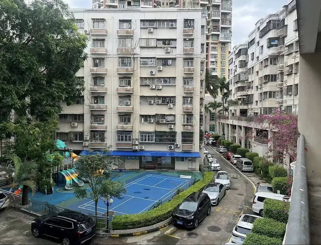 深圳 福田 | 椰树花园_5