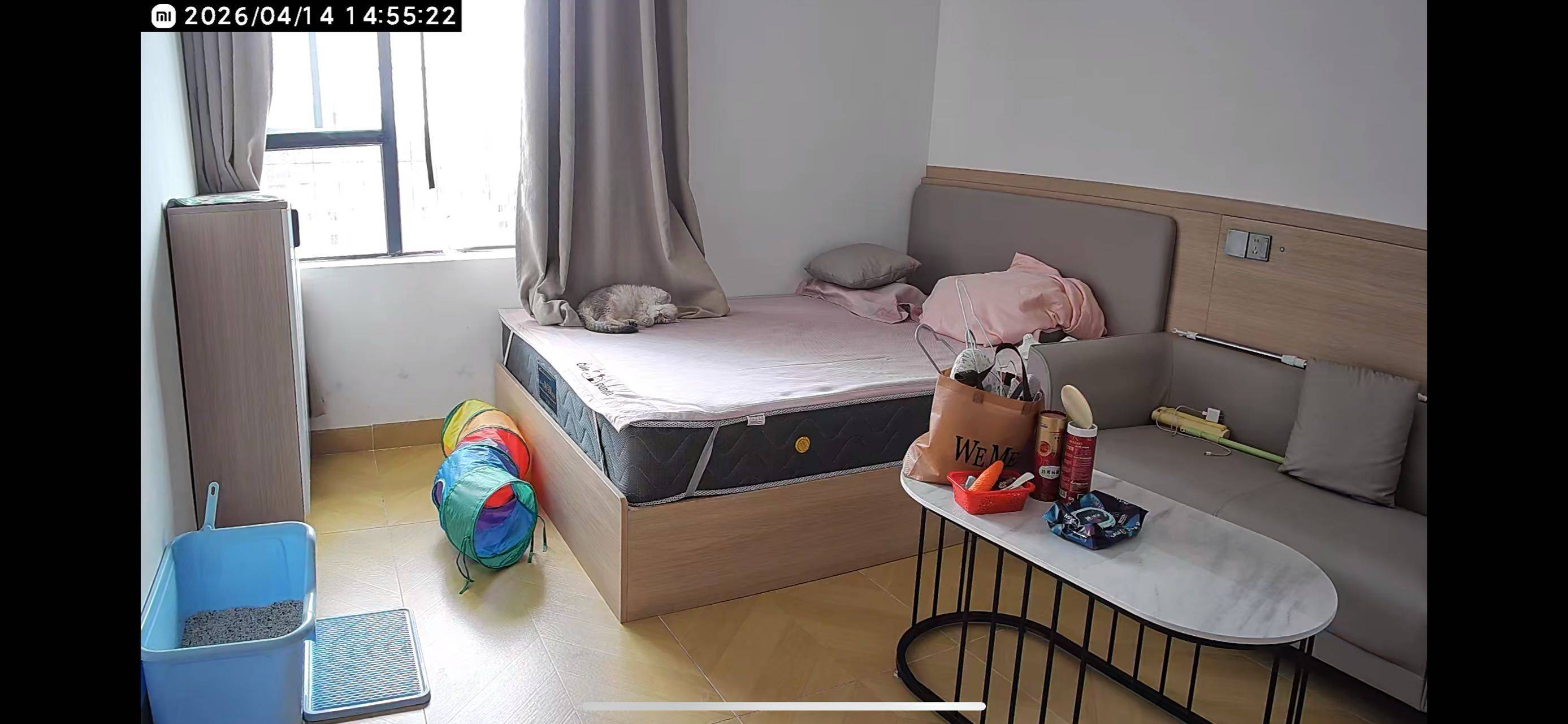 🐟整租房源1