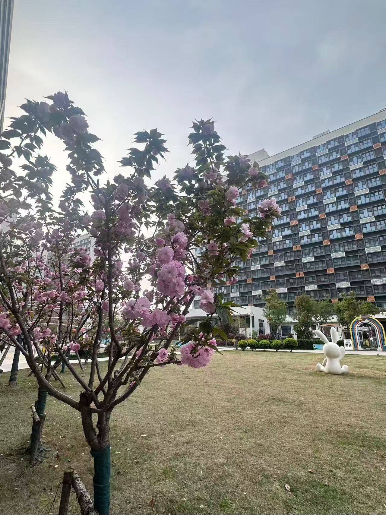 上海 闵行 | 鹏欣·一品漫城一期_6