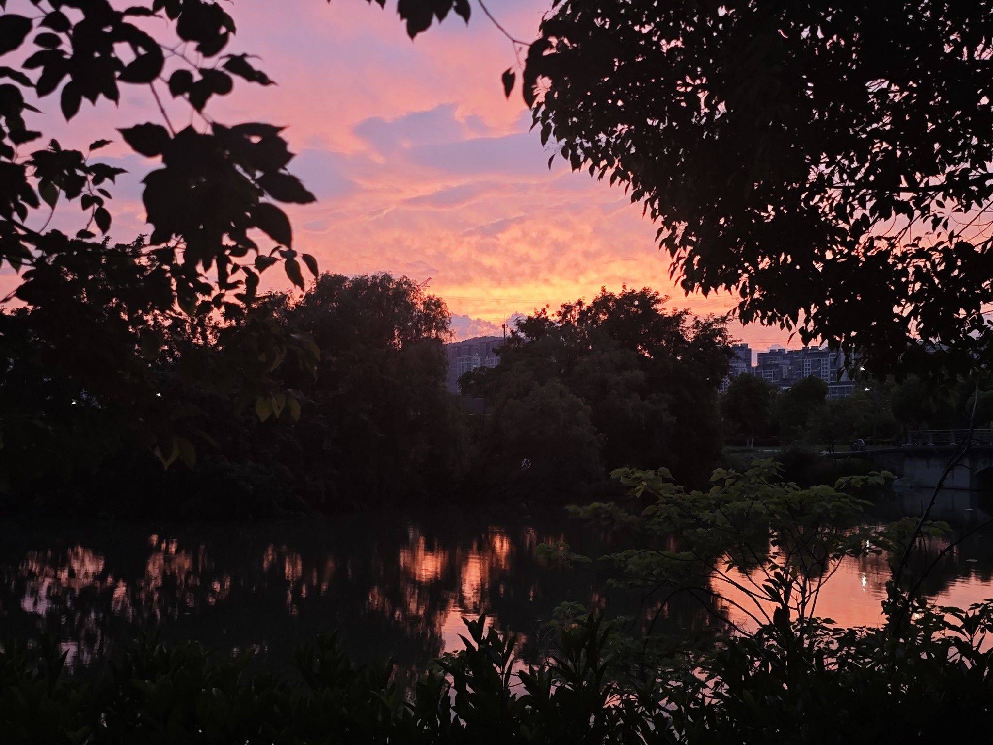 苏嘉辰整租房源1