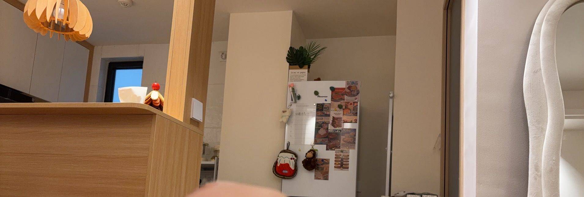 讨厌西红柿🍅整租房源2