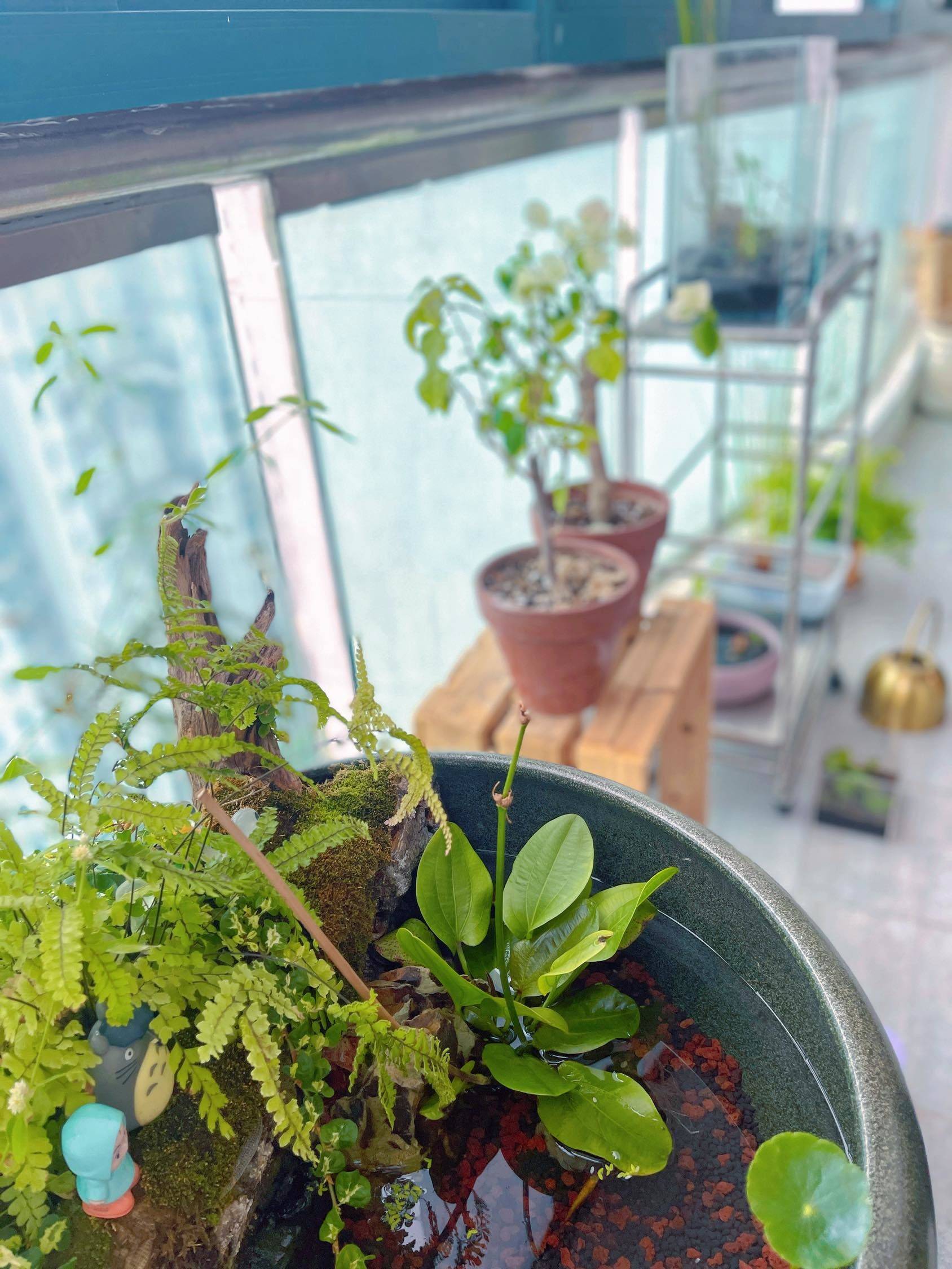 上海 虹口 | 虹叶茗园_3