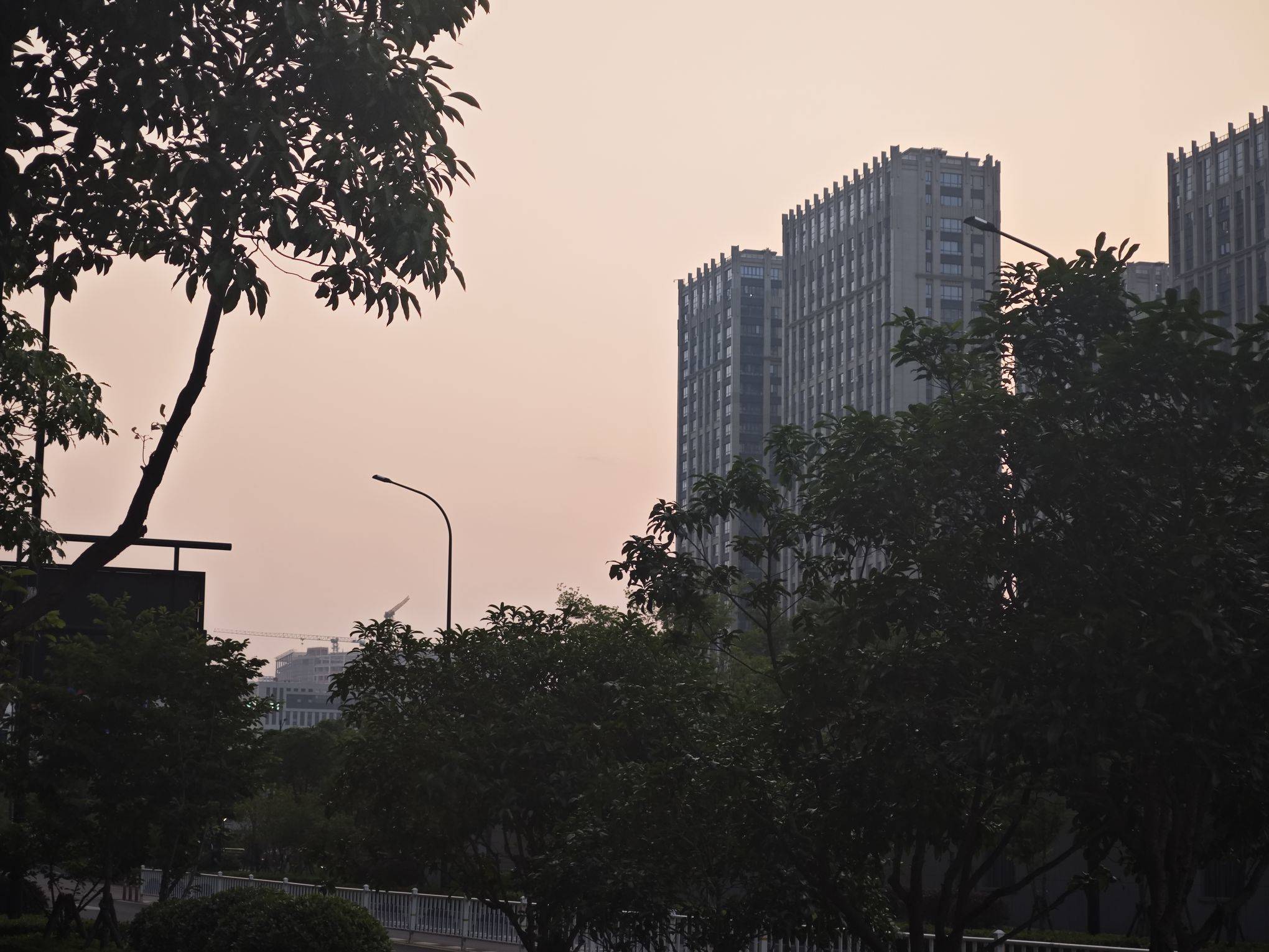 苏嘉辰整租房源3