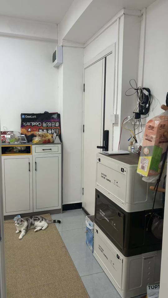 深圳 龙岗 | 象角塘新村四巷2号_6