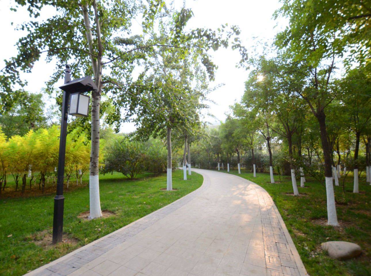 天津 河北 | 任贤里_8