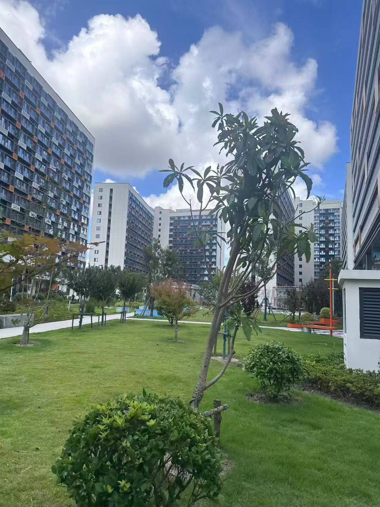 上海 闵行 | 鹏欣·一品漫城一期_7