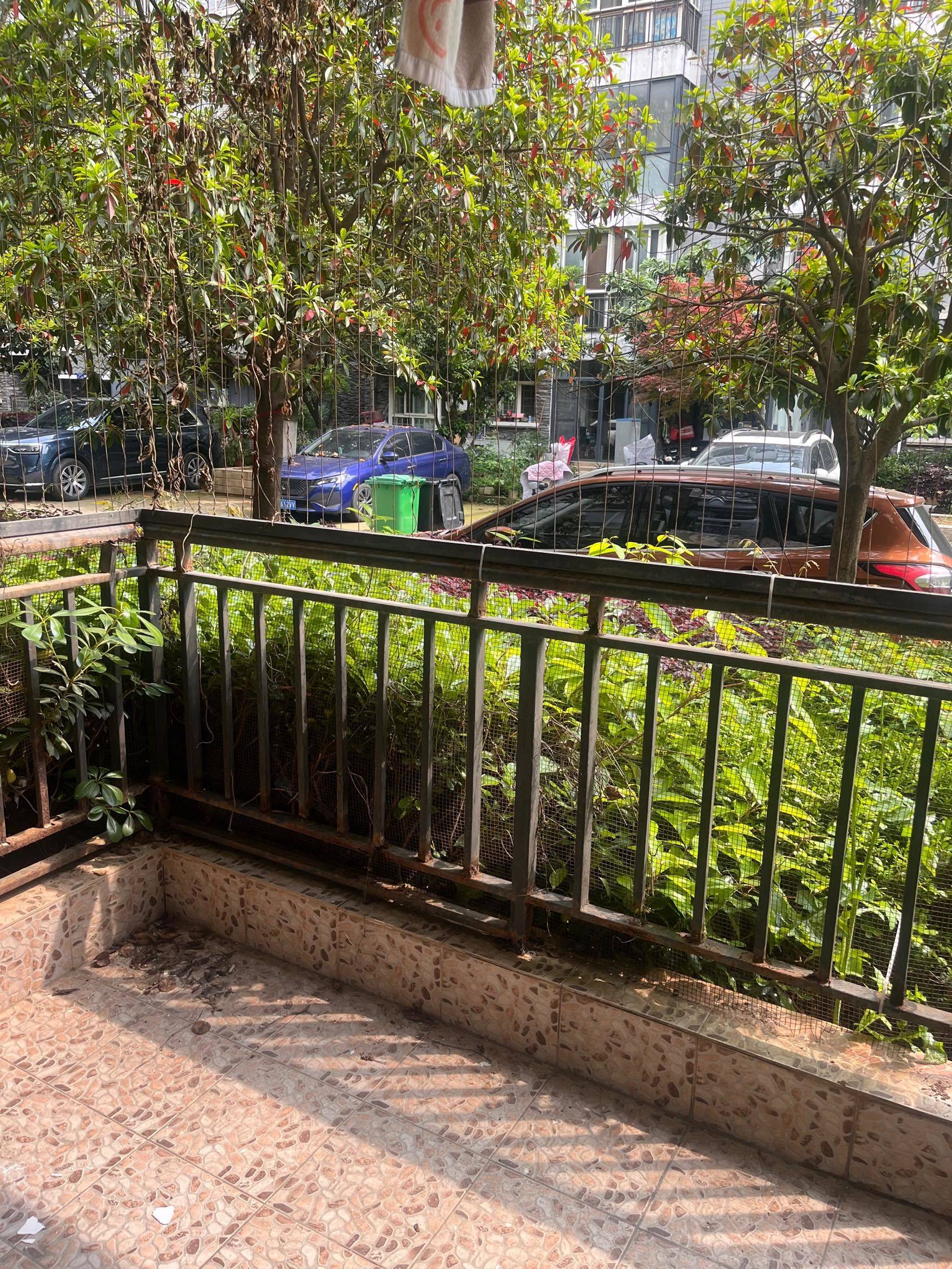 武汉 洪山 | 关山春晓-翠竹苑_4