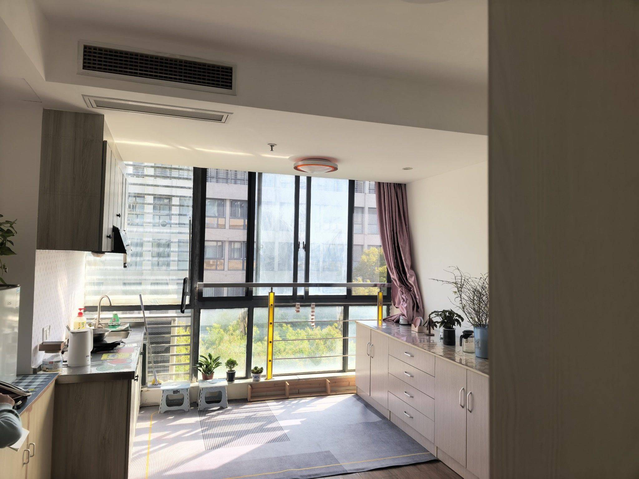 猫猫唧唧整租房源1