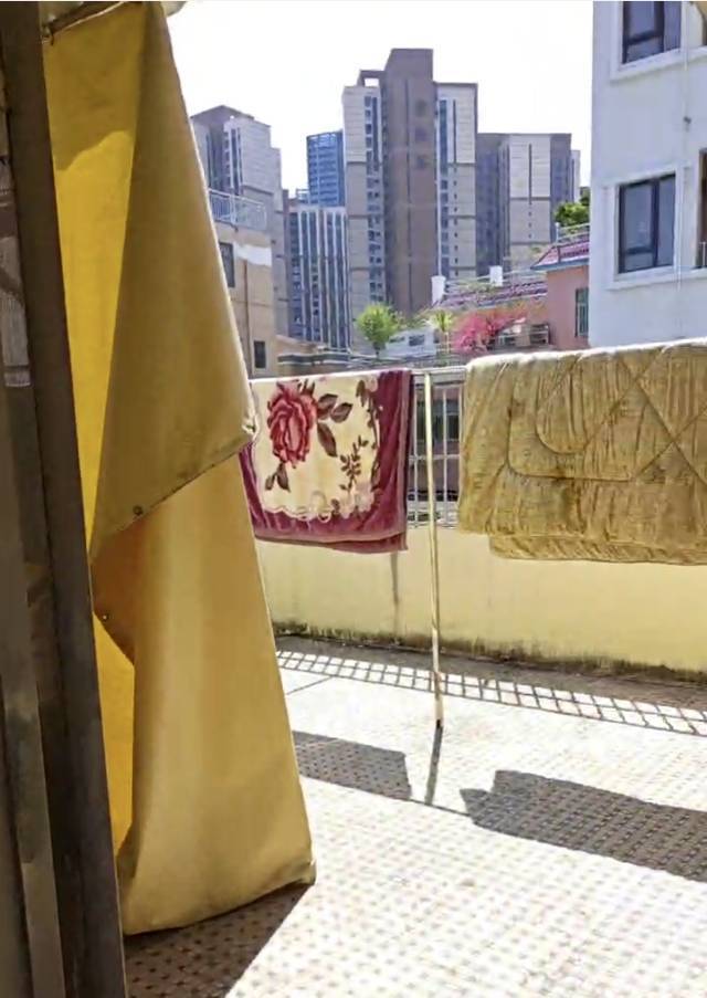深圳转租房整租房源3